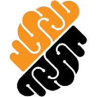 Strong Network logo